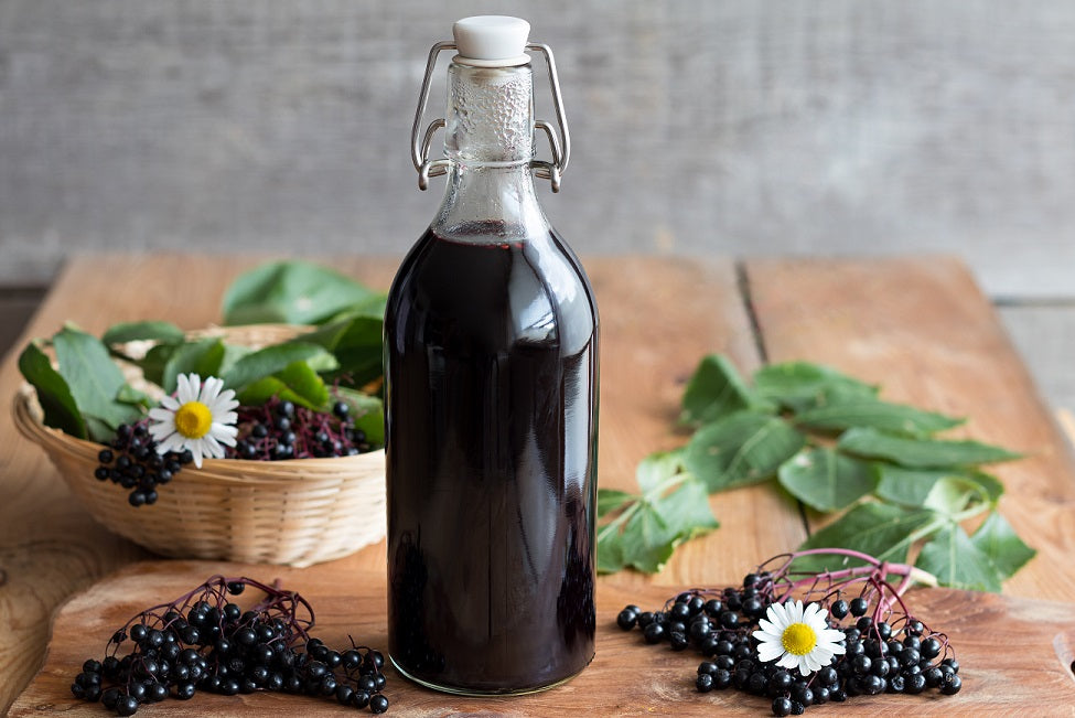 Bear_Hill_Botanicals_Elderberry_Syrup